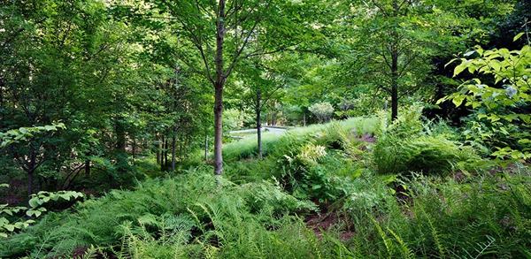 2014年 ASLA 美国 花园